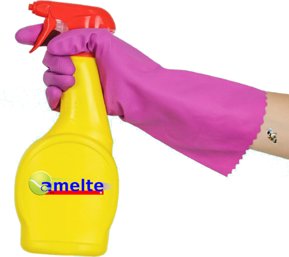 schoonmaak 2.png