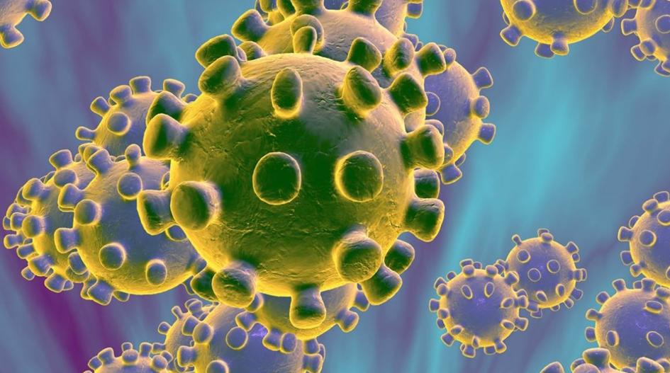 Coronavirus2.png