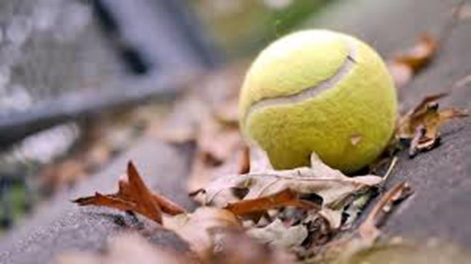 herfst.jpg