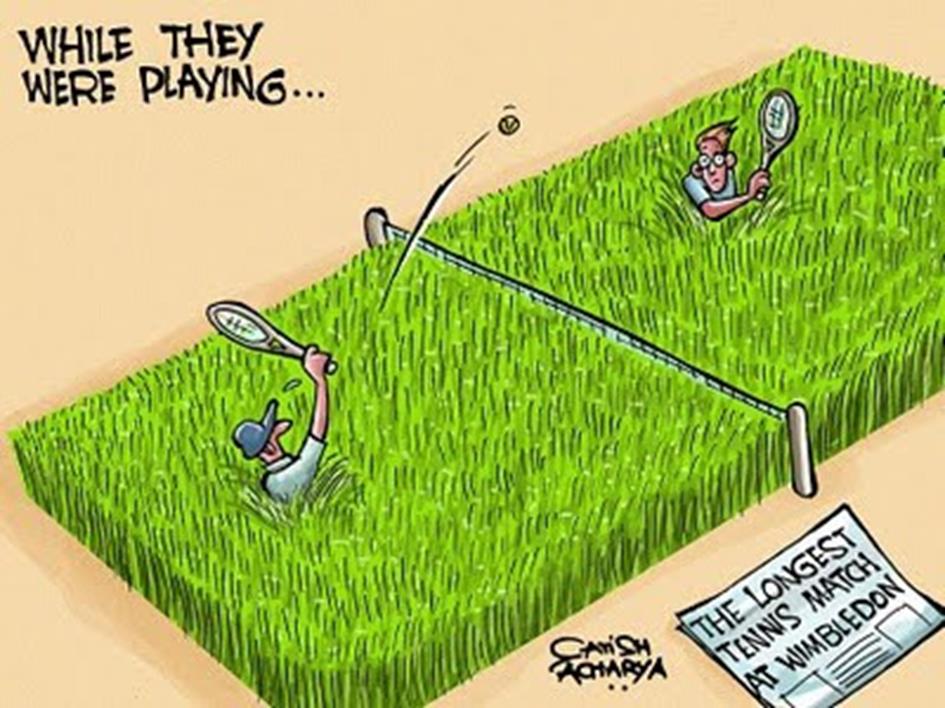 wimbledon cartoon.jpg
