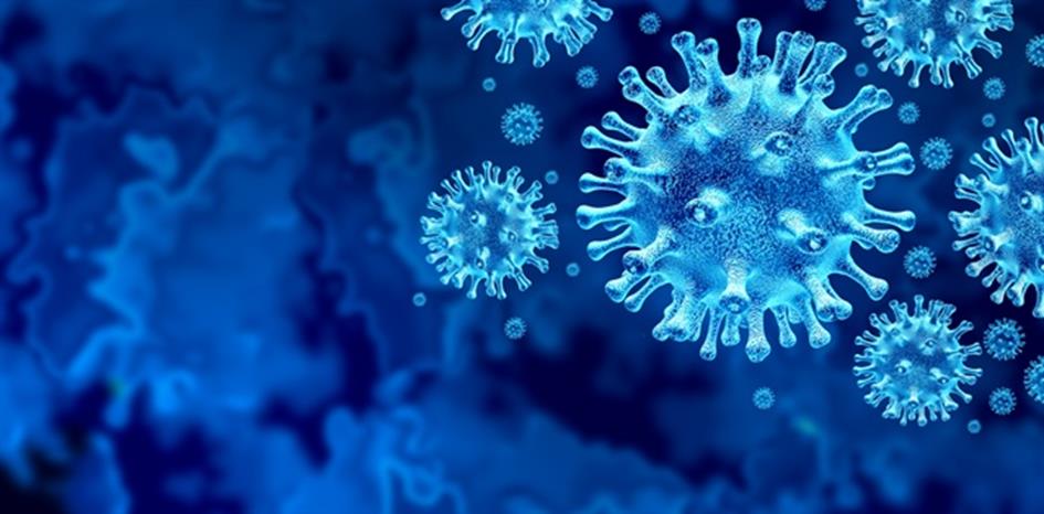 Corona virus.jpg