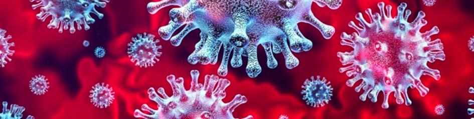 corona-virus 1600 x 400.jpg