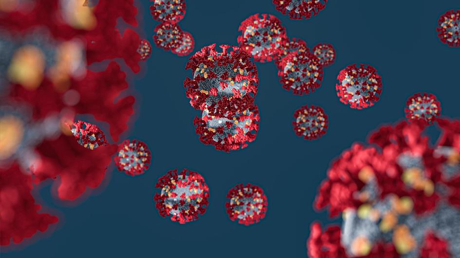 corona-virus-4932576_1920.jpeg