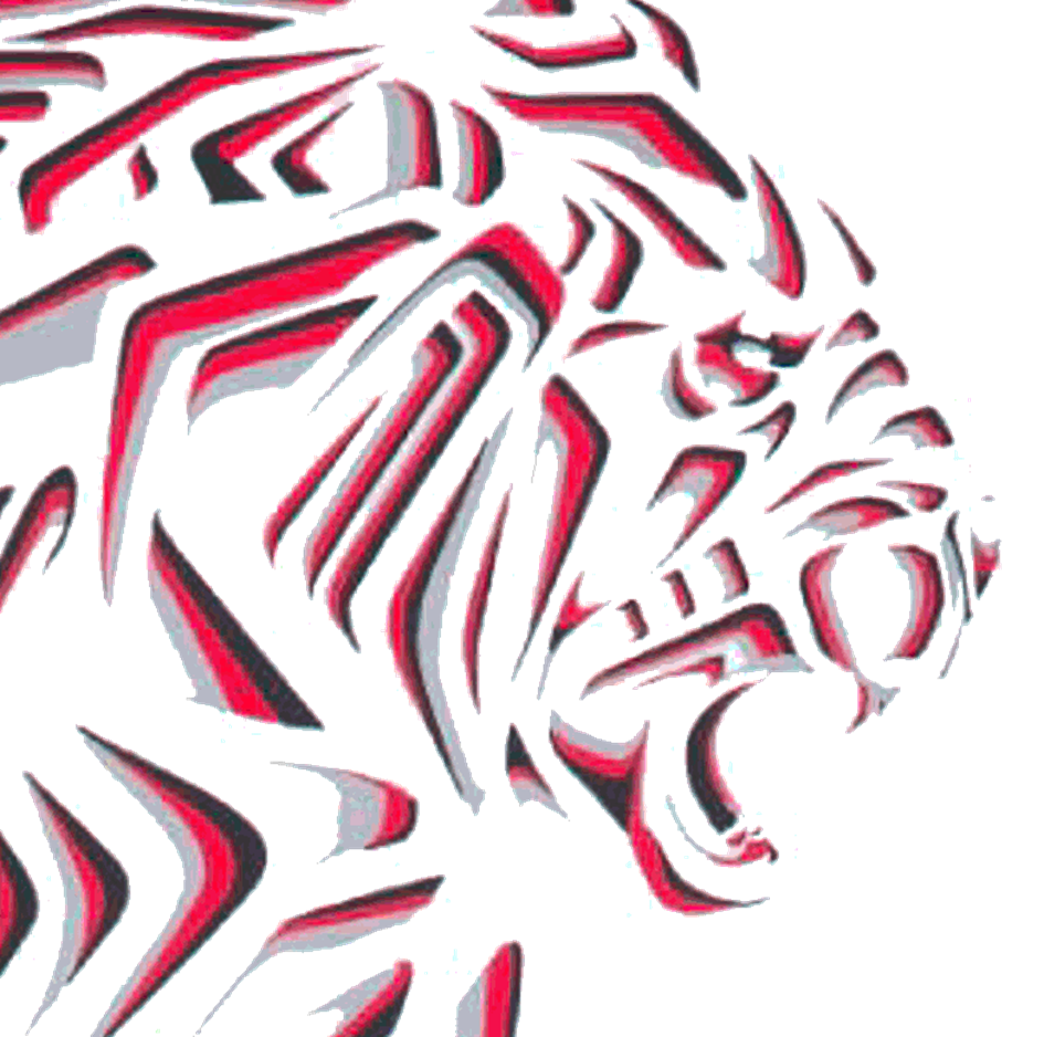 Lion abstract square.gif