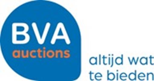BVA Auctions.jpg