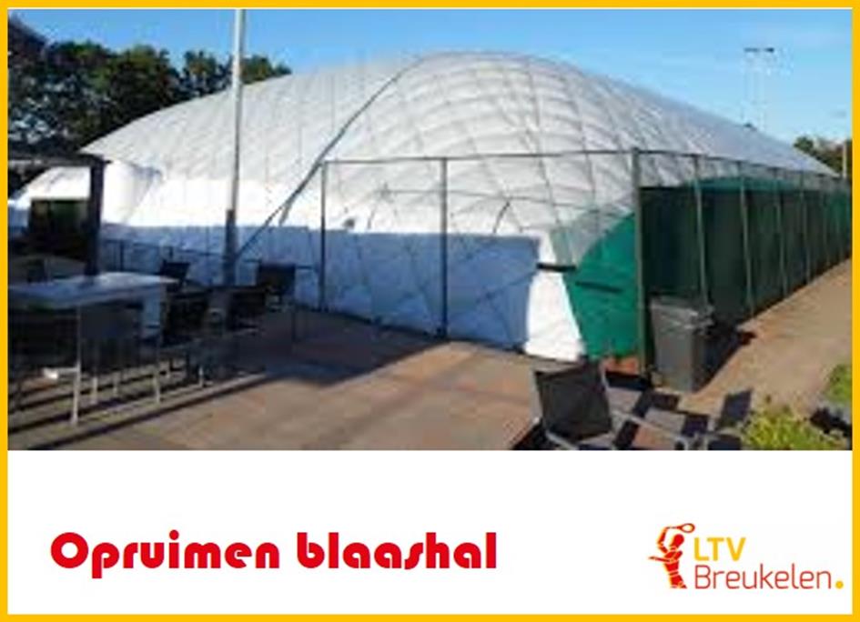 Blaashal.jpg