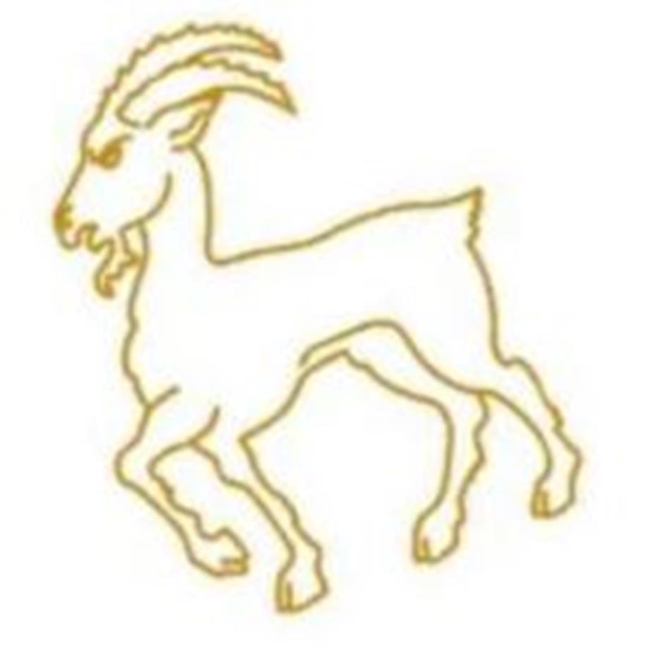 Bokkentoernooi 2021 Logo.jpg