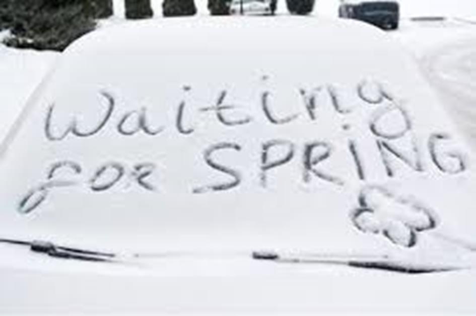 lente.jpg