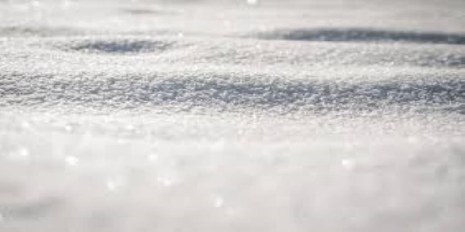 winterbeeld (1200x600).jpg