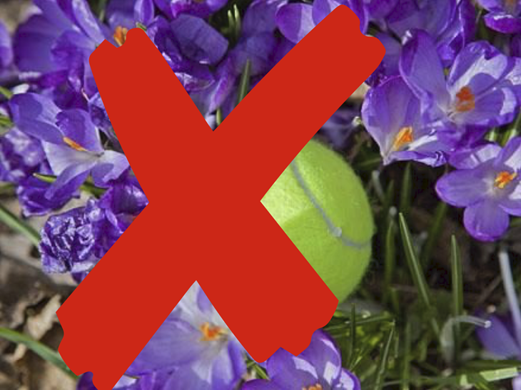 OpeningsToernooiX.png