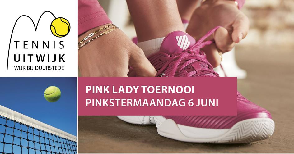 FB Poster Pink Ladies.jpg