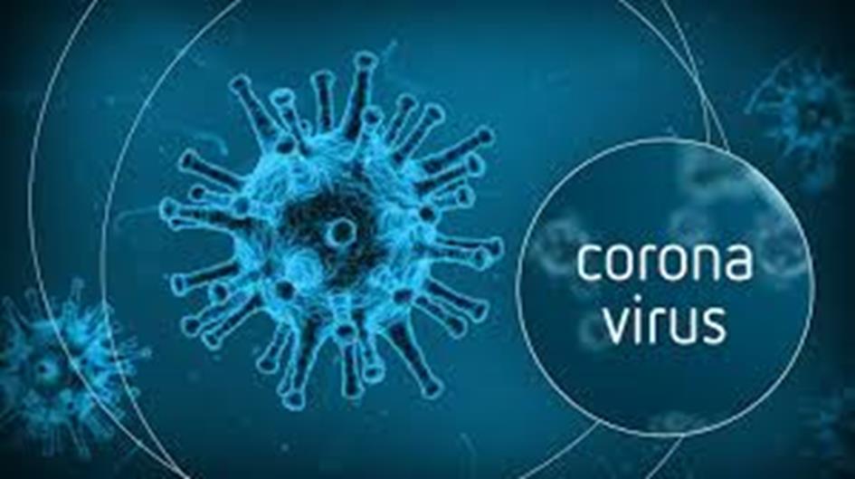 Corona virus.jpg