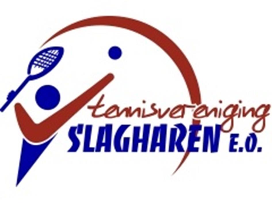 logo tv slagharen.jpg