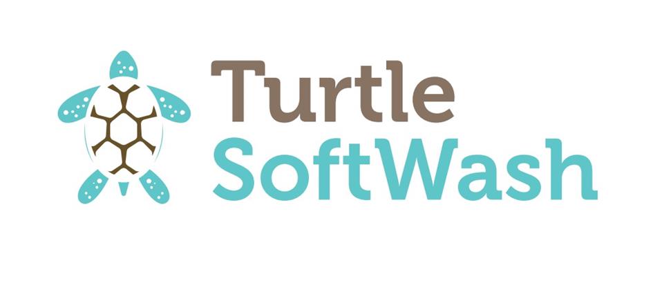 Turtle softwash.jpeg