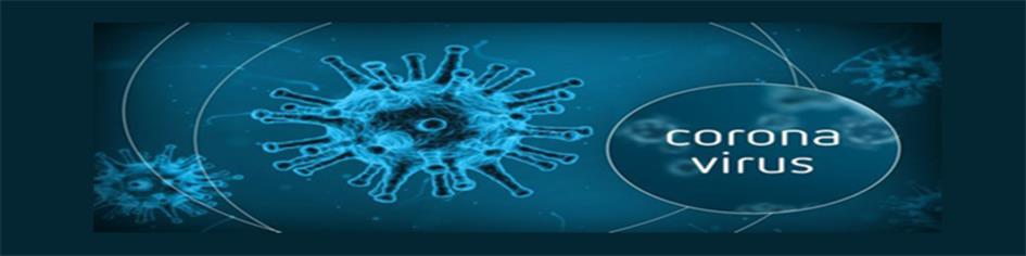 Coronacirus 800x200.jpg